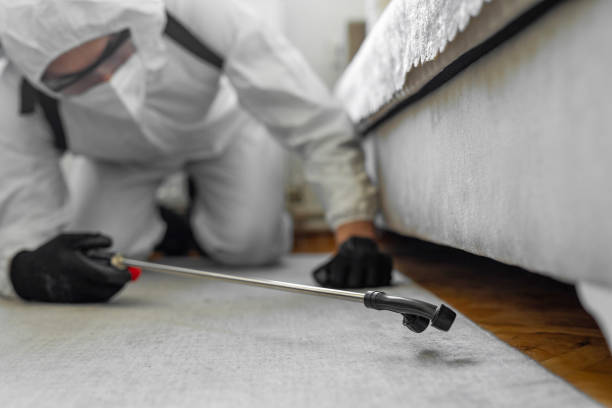 Professional Cockroach Control technician working in Pleak, TX